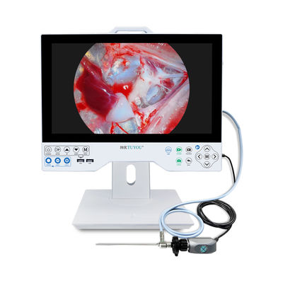 comprare All In One HD Endoscopia Video Camera 15,6 pollici Monitor per ENT Laparoscopia Isteroscopia Urologia fabbricazione online