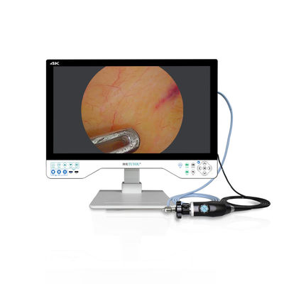 comprare Sistema di telecamere endoscopiche 4K UHD con videoregistratore USB Monitor laparoscopico da 24 pollici LED chirurgica e sorgente luminosa fabbricazione online