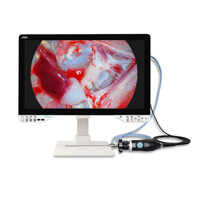comprare AC110V-250V Fotocamera Endoscopica Medico 4K ENT Con Fonte Di Luce E Monitor fabbricazione online