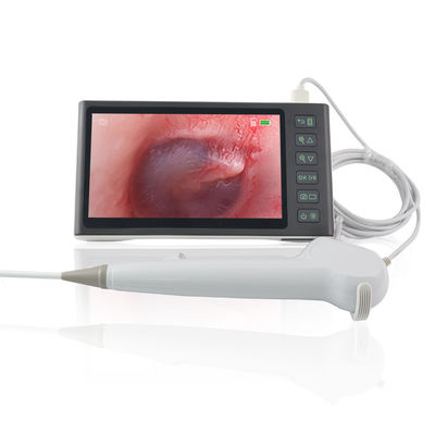 comprare ENT Chirurgia Bianco FHD Flessibile Digital Visual Ear Picker Attrezzo per la rimozione del cerume Endoscopio monouso Fotocamera 7 pollici schermo IPS fabbricazione online
