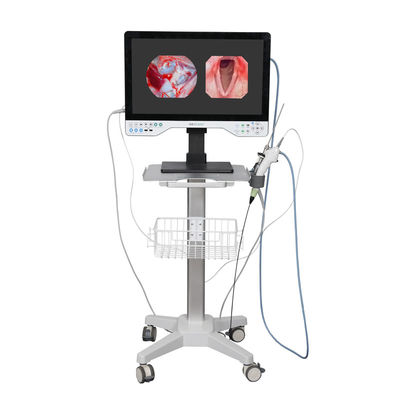 comprare TUYOU 24 Inch FHD All In One Camera Endoscopica Rigida Per La Chirurgia Endometriale fabbricazione online
