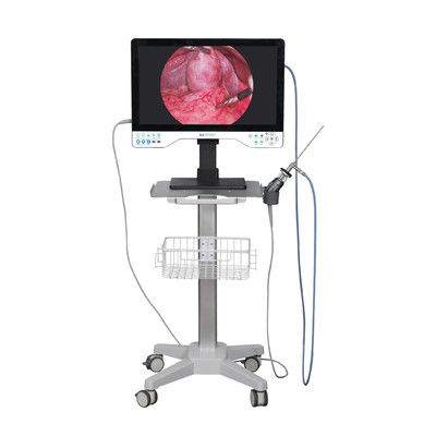 comprare 24 in TUYOU Nasofaringoscopo Endoscopo Camera Registratore Per Laparoscopia In Alta Definizione fabbricazione online