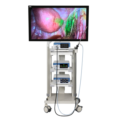 comprare Sistema di telecamere endoscopiche TUYOU 4K ICG con registratore fabbricazione online
