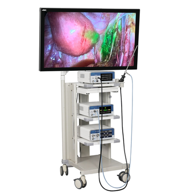 comprare Dispone di un sistema di videoregistrazione USB ICG chirurgica 4K Endoscope Camera fabbricazione online