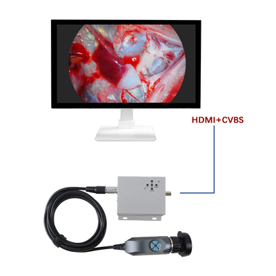 comprare Vendita all'ingrosso in fabbrica di telecamera endoscopica portatile 1080P per uso veterinario per diagnosi ORL fabbricazione online