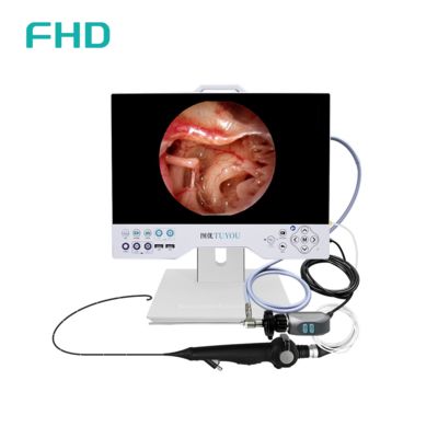 comprare 15' All-in-One Full HD Endoscopy Camera System con fonte luminosa LED integrata per applicazioni chirurgiche ENT e urologiche fabbricazione online