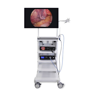 Sistema di videocamera per l'endoscopia medica ad alta definizione 4K per la laparoscopia Torre Urologia AWB Supported