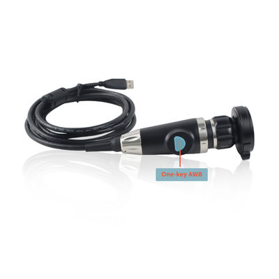 Produttore Fotocamera portatile USB per endoscopia ENT Controllo degli animali da compagnia Endoscopia video su laptop