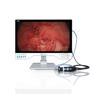 Sistema di telecamere endoscopiche 4K da 24 pollici con fonti luminose e videoregistratore