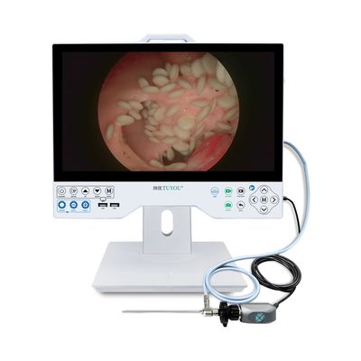 Vendita a caldo 15,6 pollici Full HD Camera endoscopica integrata e sistema di visualizzazione per la sala operatoria di laparoscopia