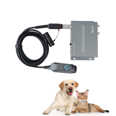 Tuyou 4-Port 1080P Endoscope Converter Box Portatile Imaging medico ENT Laparoscopia per animali domestici