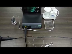 Fabbrica TUYOU Gastroscopio flessibile Colonoscopio Endoscopio Sistema di telecamera per animali domestici Diagnostica gastrointestinale